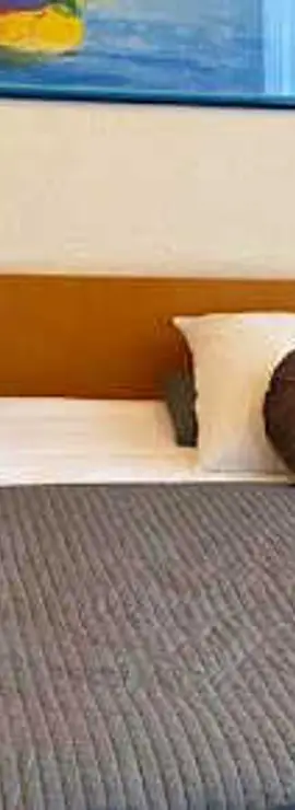 Hotel Professor