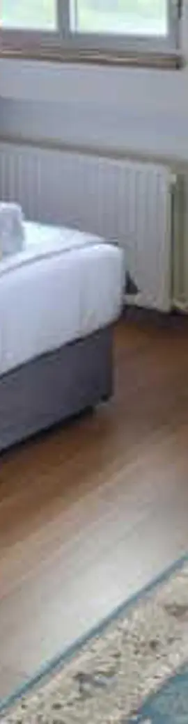 Hotel whiteswan 