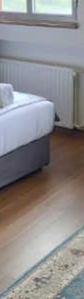 Hotel whiteswan 
