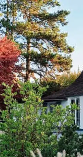 Bed & Breakfast - Au Clos d'Amande 