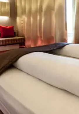 Airport Hotel Basel