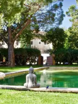 Mas des Comtes de Provence 