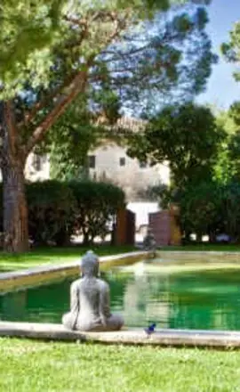 Mas des Comtes de Provence 