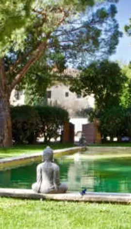 Mas des Comtes de Provence 