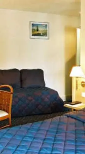 Hotel Le Bourbon Pau Centre 