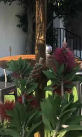 Au Bougainvillier 