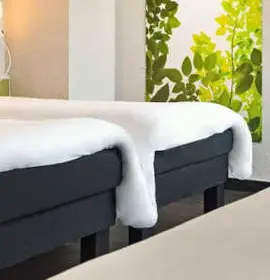 Ibis Strasbourg Sud La Vigie