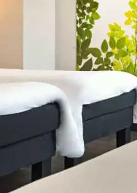 Ibis Strasbourg Sud La Vigie