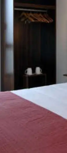 Hôtel Le Palladior Voiron
