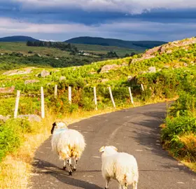 Vue d'un paysage irlandais dans le comté de Kerry