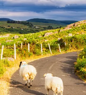 Réserver un vol pas cher Caen Kerry et partez en vacances en Irlande