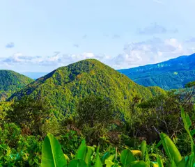 Montagnes sur les Iles de Guadeloupe