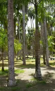 Paramaribo