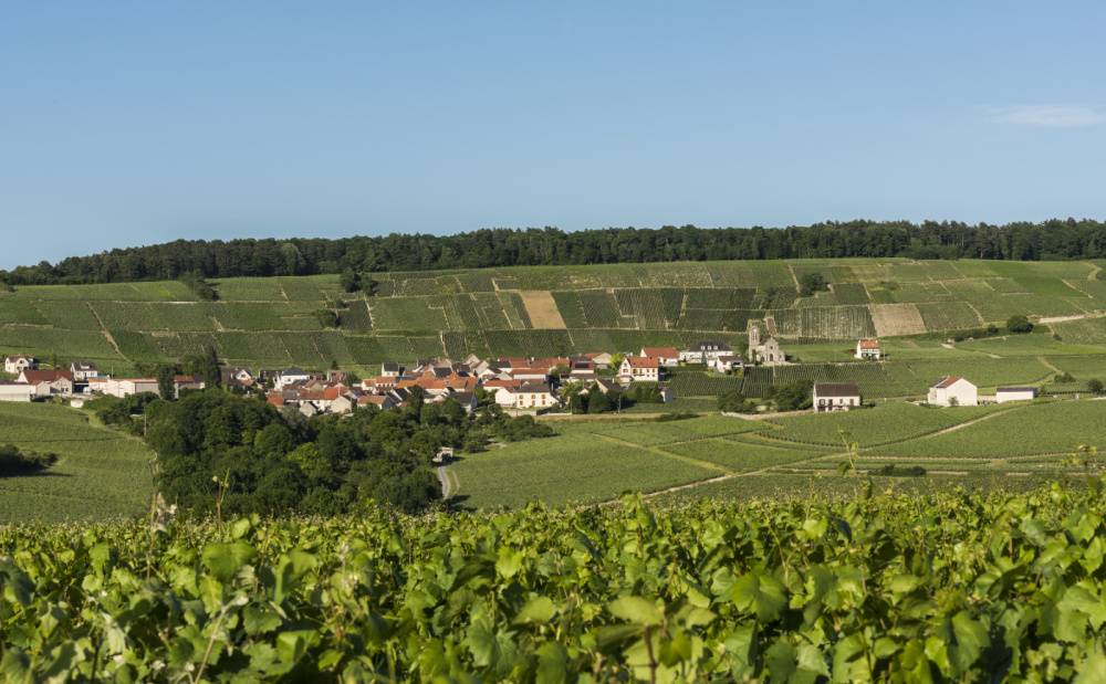 Visiter le village de Levrigny près de Vatry