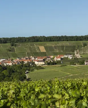Visiter Vatry-Chalons en Champagne et ses environs