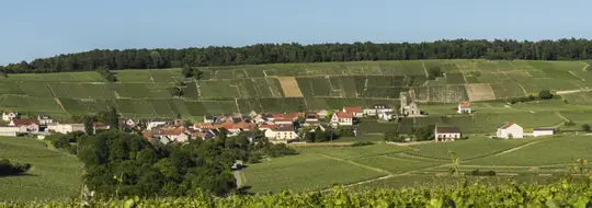 Visiter Vatry et ses environs