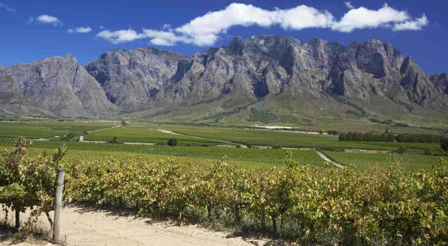 Acheter un billet d'avion pas cher pour Le Cap et faites une session dégustation dans un vignoble en Afrique du Sud