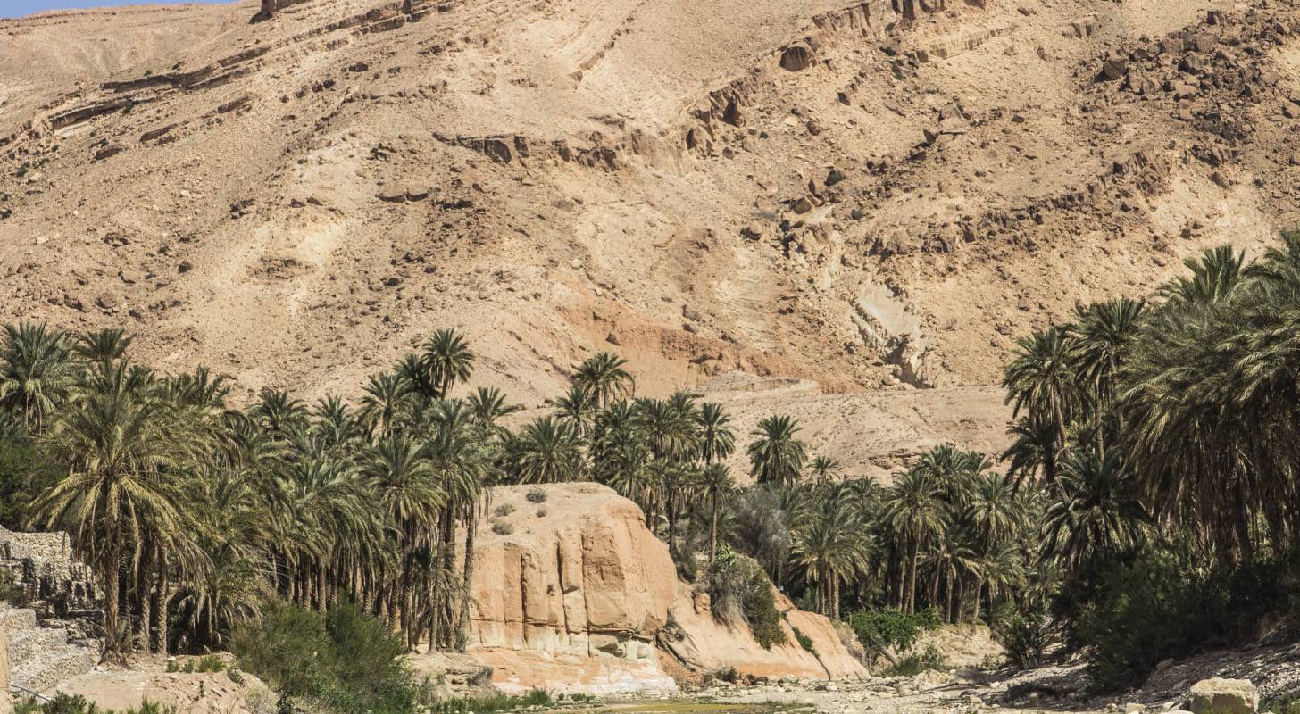 Réserver un vol pour Biskra