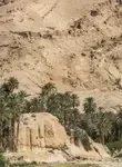 Vol Biskra