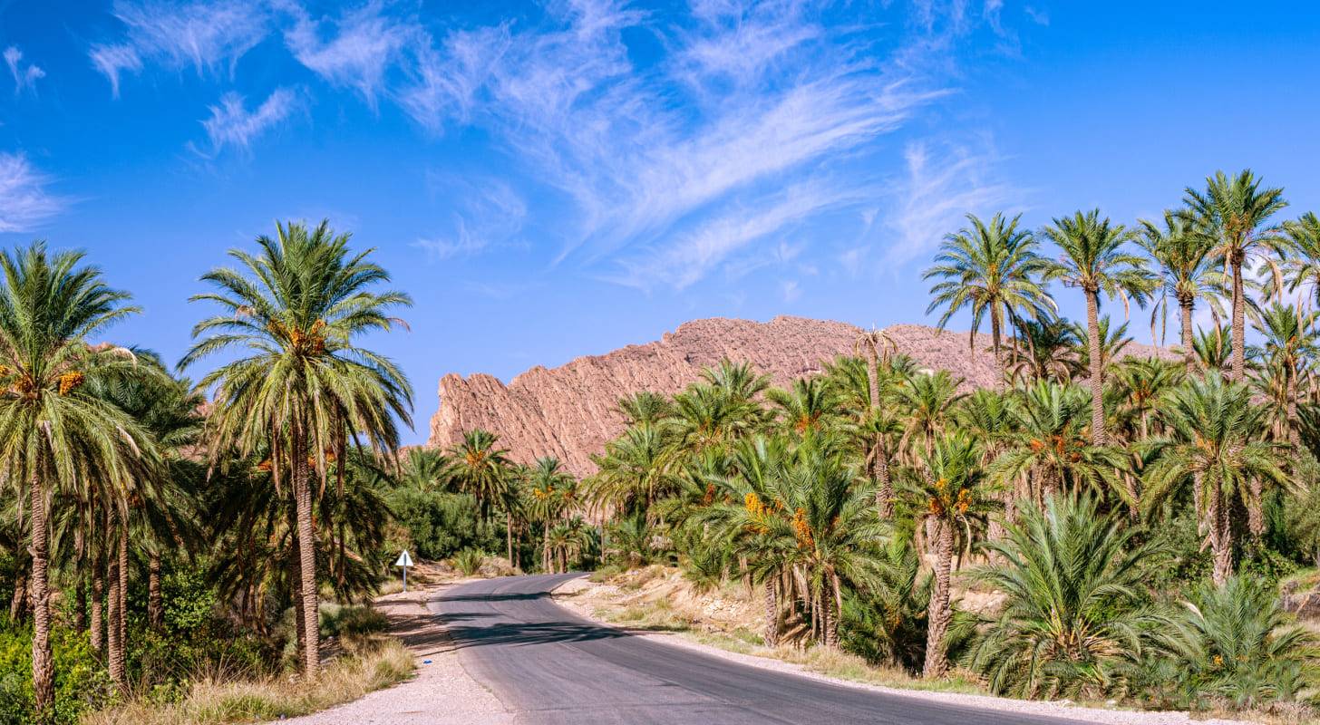 Billet d'avion Biskra - Visitez une palmeraie 