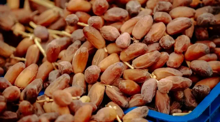 Les dattes deglet nour Vols pas chers Biskra - Testez des dattes algériennes