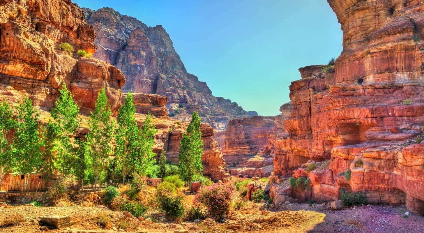 Billet d’avion pas cher Algérie 