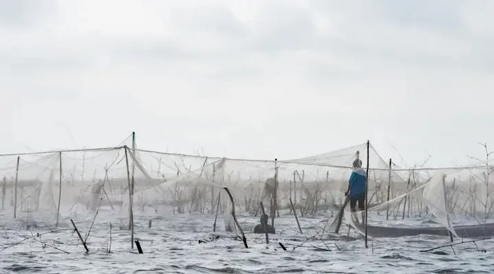 Séjour à Cotonou, pêcheurs sur le lac Nokoué Séjour à Cotonou, pêcheurs sur le lac Nokoué