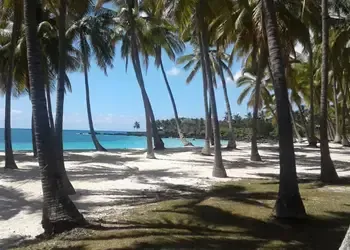 Vol pas cher pour Moroni, balade sur la plage de Moroni