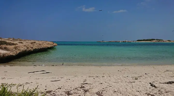 Les iles de Moucha et Maskali près de la ville de Djibouti Voyage à Djibouti, excursion vers les îles Moucha et Maskali