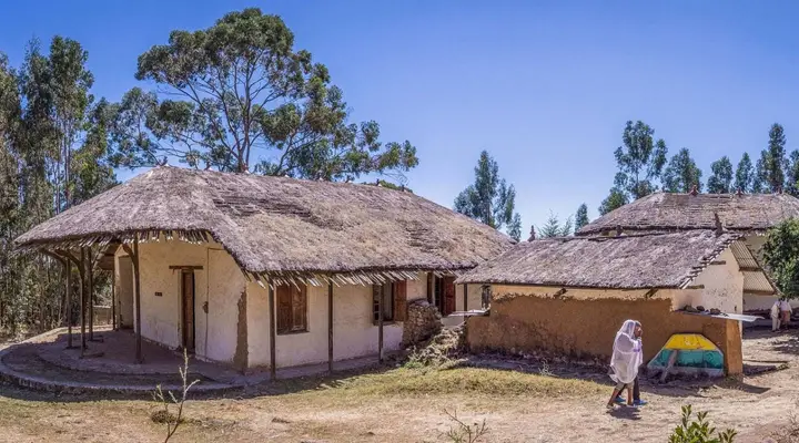 Un village au sommet du Mont Entoto près d'Addis Abeba Vol pas cher pour Addis-Abeba, découverte d’un village au sommet du Mont Entoto