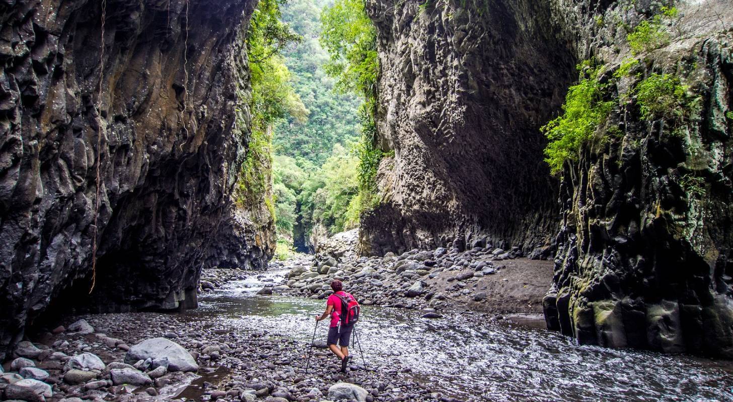 Voyage à La Réunion, à la découverte du flamboyant, arbre emblématique