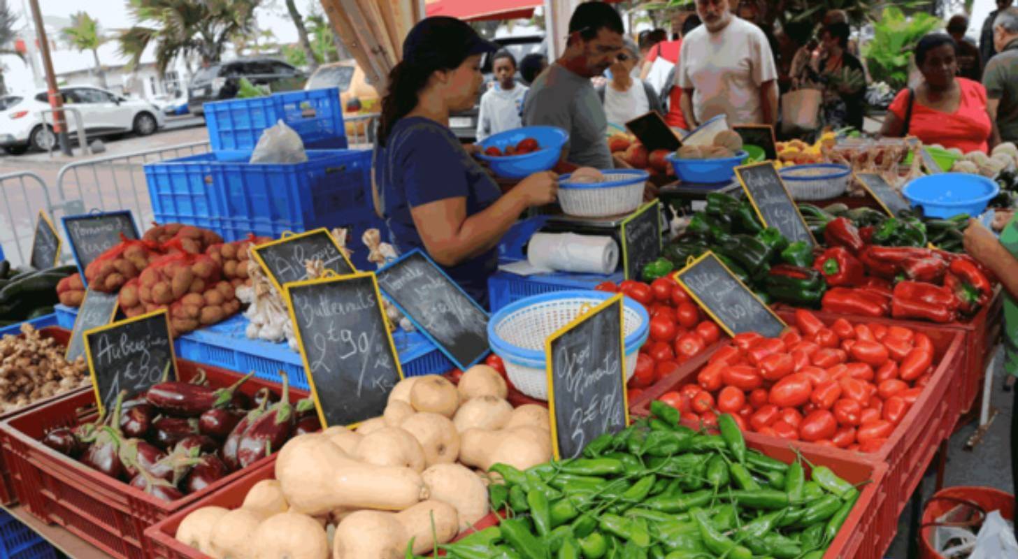 Voyage à Saint-Pierre de La Réunion, immersion au marché local
