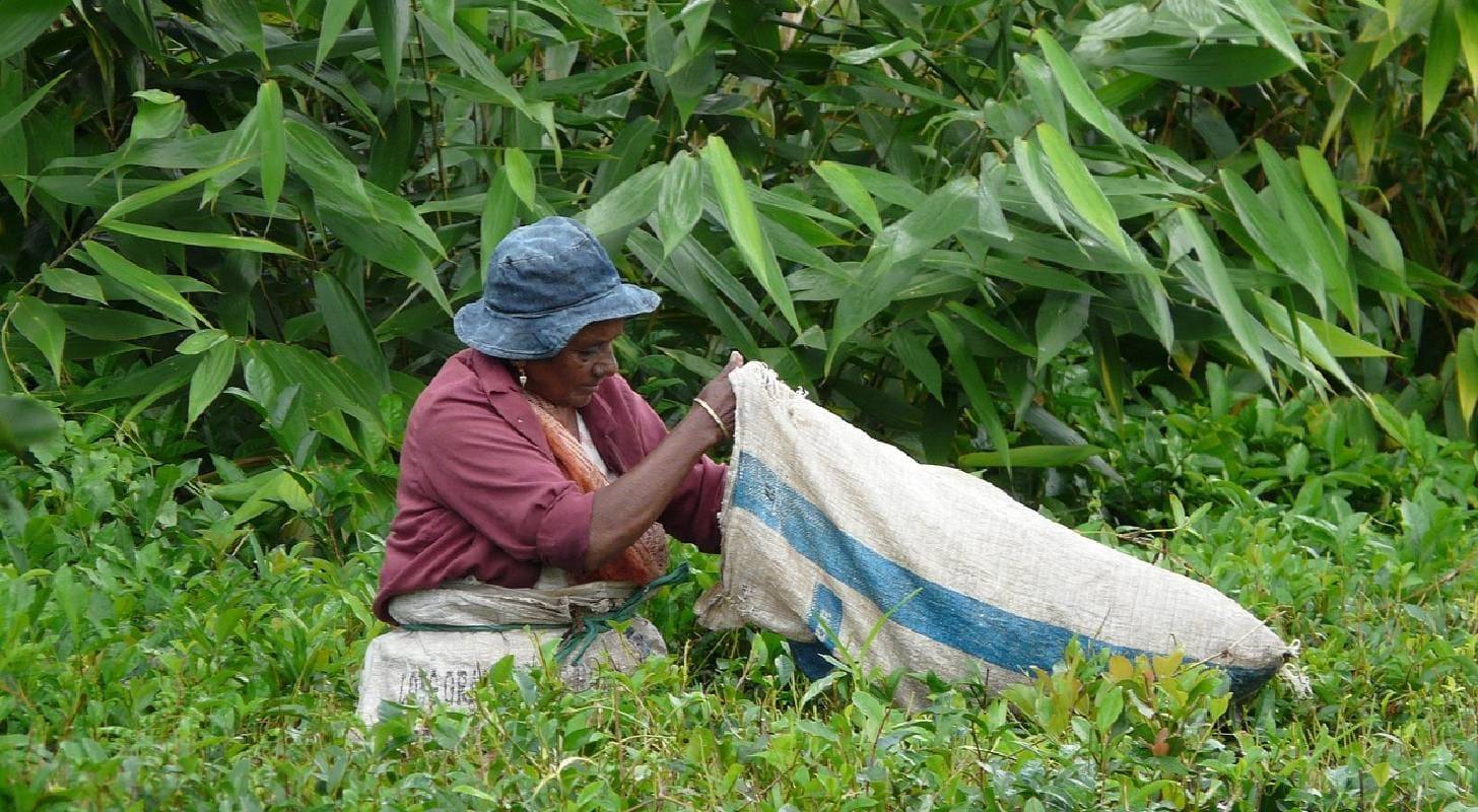 Réserver un vol pour Sambava à Madagascar