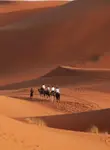 Vol Dakhla