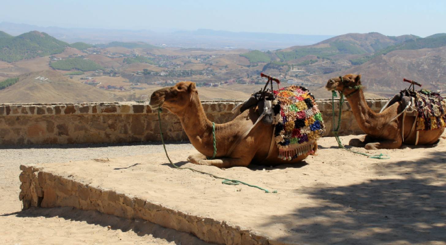 Voyage à Nador, visitez Segangan dans la province de Nador