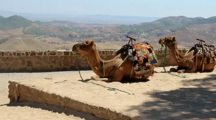 Segangan, province de Nador Voyage à Nador, visitez Segangan dans la province de Nador