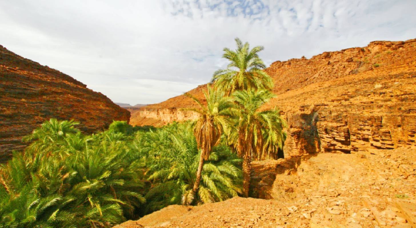 Voyage à Nouakchott, découverte du désert en Mauritanie