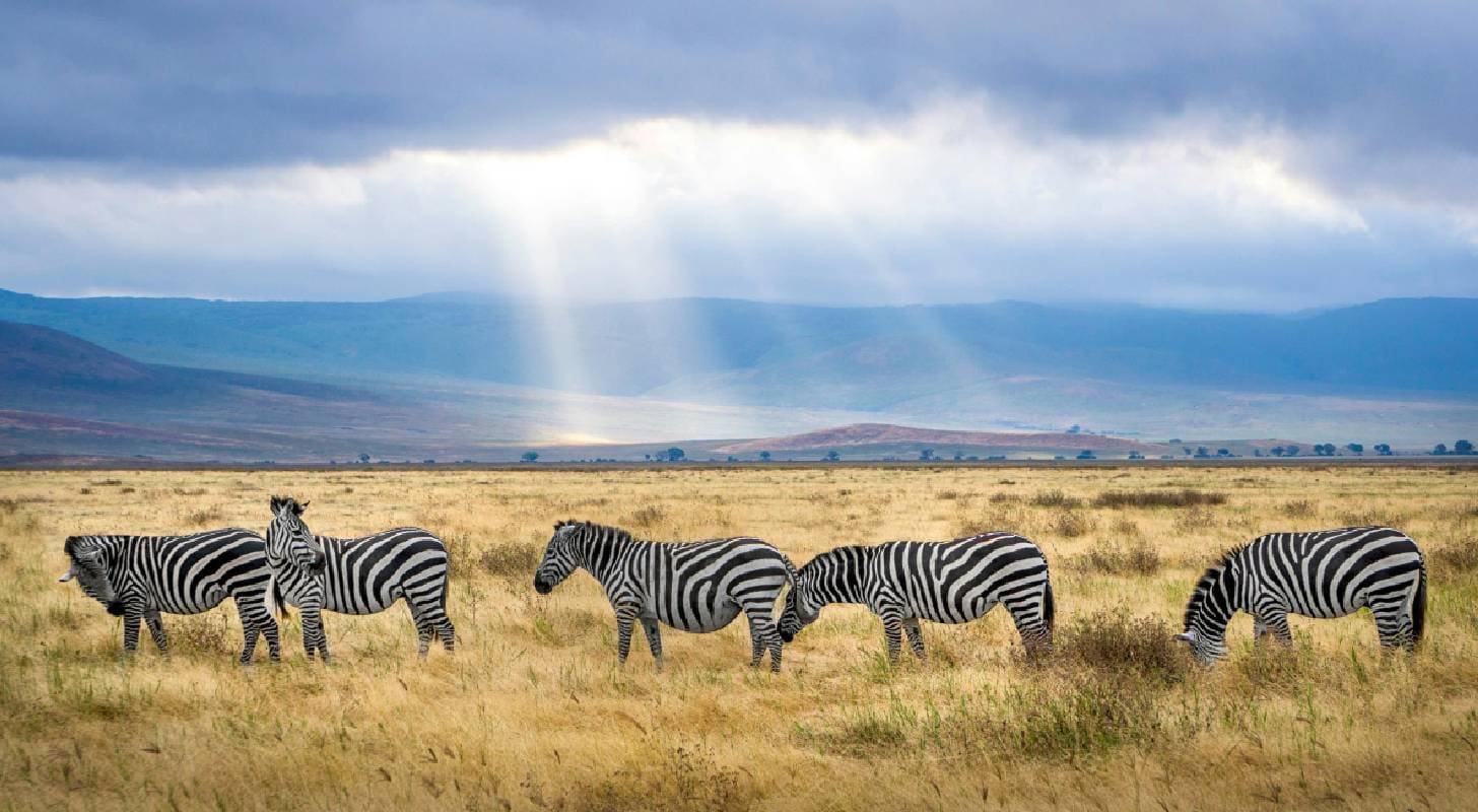 Vol pas cher pour Kilimanjaro