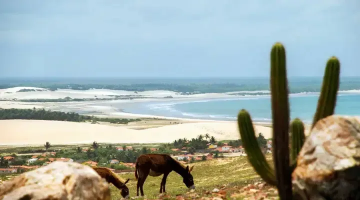 Réservez un vol pas cher pour Fortaleza et profitez des plages brésiliennes Réservez un vol pas cher pour Fortaleza et profitez des plages brésiliennes
