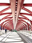 Vol Calgary