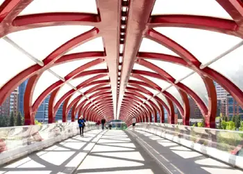 Trouvez un billet d'avion pas cher pour Calgary et découvrez les espaces immenses de l'Alberta 