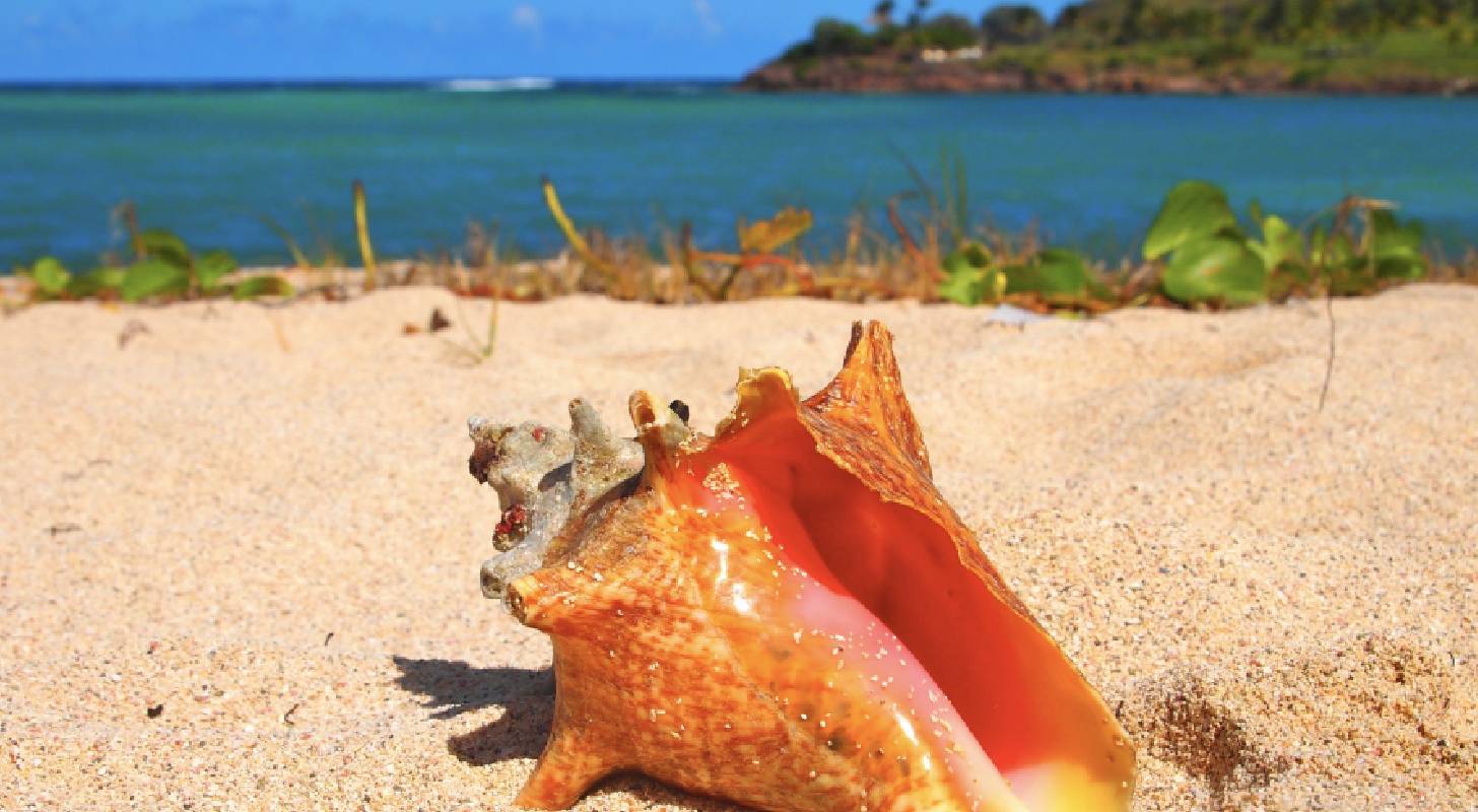 Trouvez un vol pas cher pour Gustavia