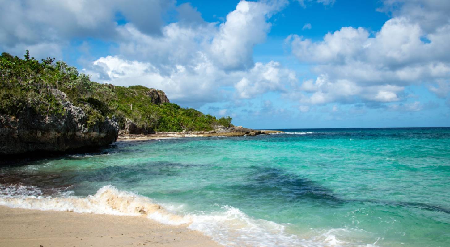 Billet d’avion pour Marigot, observation des baleines au large