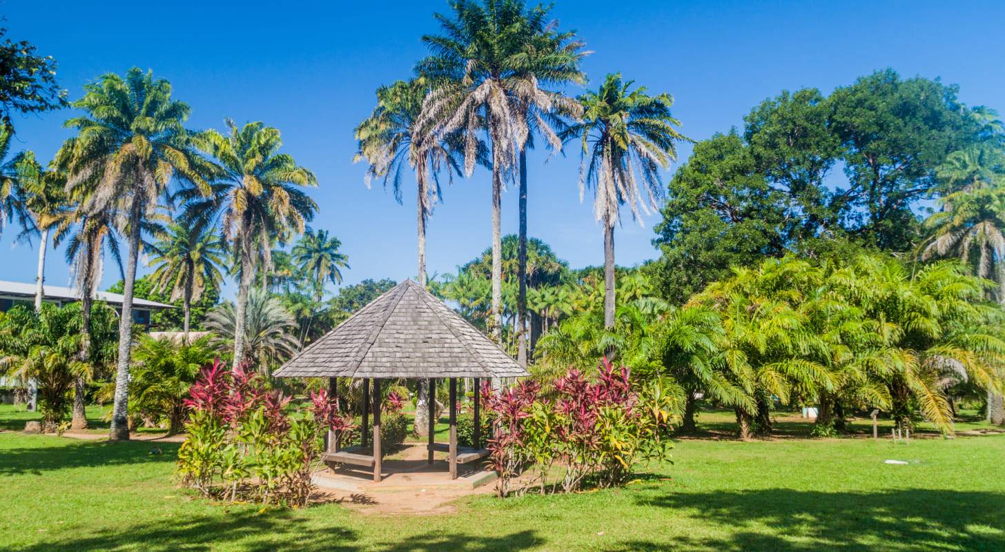Trouvez un billet d'avion pas cher pour Cayenne et visitez le Jardin Botanique de Cayenne