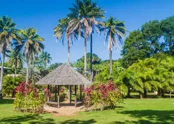 Trouvez un billet d'avion pas cher pour Cayenne et visitez le Jardin Botanique de Cayenne