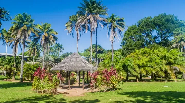 Le Jardin Botanique de Cayenne Trouvez un billet d'avion pas cher pour Cayenne et visitez le Jardin Botanique de Cayenne