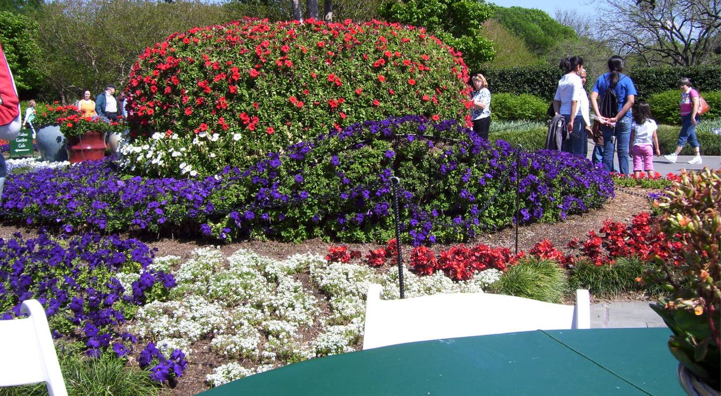 Trouvez un billet d'avion pas cher pour Dallas et découvrez le jardin Dallas Taman Bunga