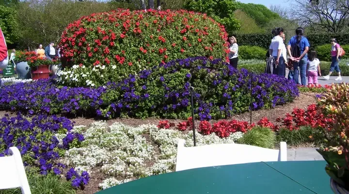 Le jardin Dallas Taman Bunga Trouvez un billet d'avion pas cher pour Dallas et découvrez le jardin Dallas Taman Bunga
