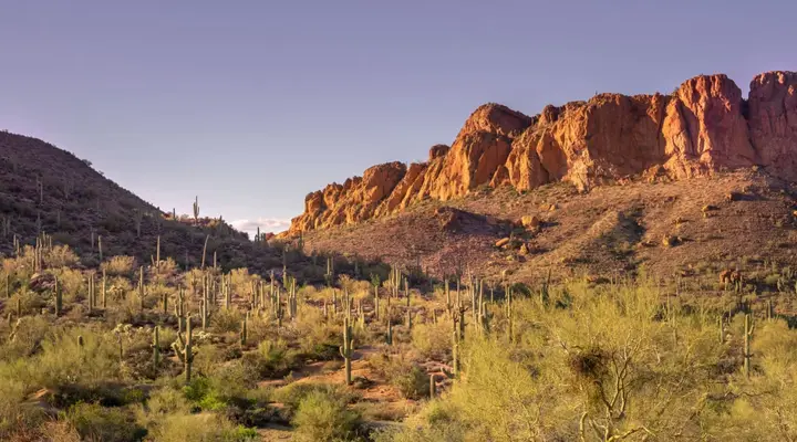 Désert d'Arizona Réserver un vol pour Phoenix en Aizona
