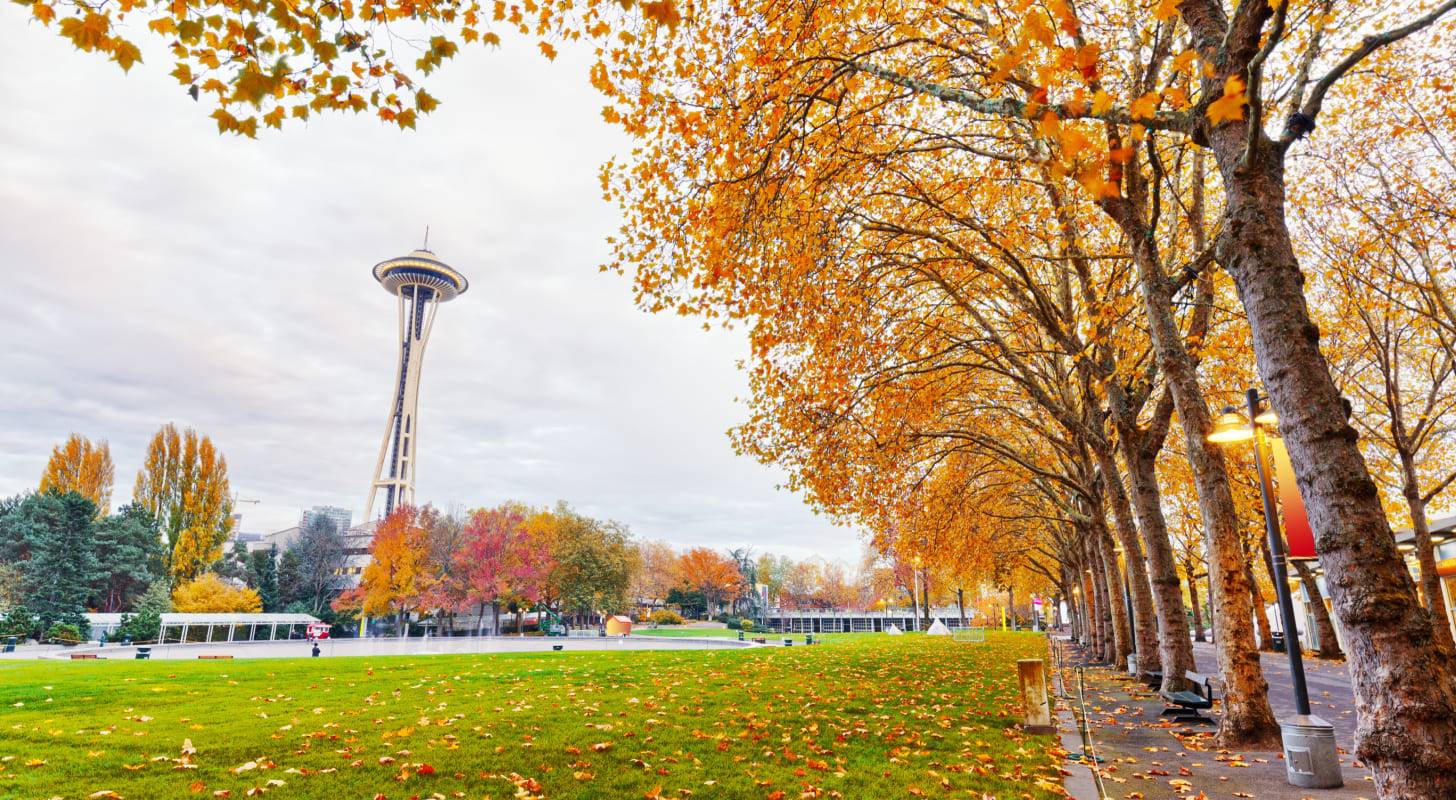 Achetez un billet d'avion pas cher pour Seattle et profitez des parcs et de la vue sur la célèbre Space Needle